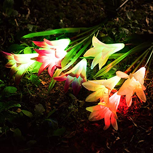 Qunlight Outdoor Solar Stake Flower Lights - 2 Pack Solar Powered ...