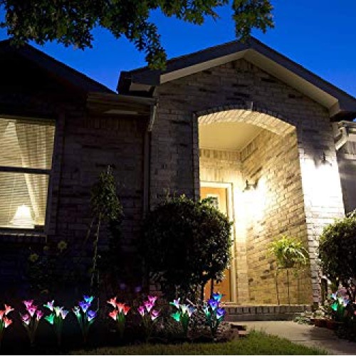 Qunlight Outdoor Solar Stake Flower Lights - 2 Pack Solar Powered ...