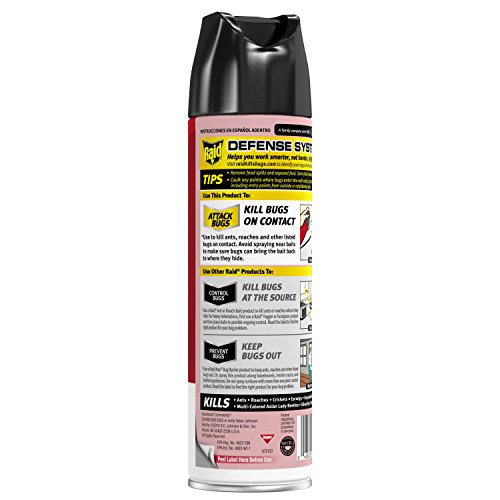 Ant & Roach Killer Fragrance Free