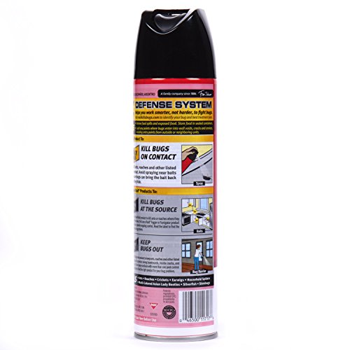 Ant & Roach Killer Fragrance Free