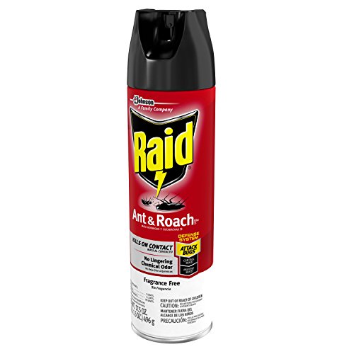 Ant & Roach Killer Fragrance Free