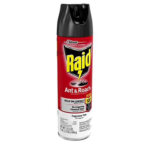 Ant & Roach Killer Fragrance Free