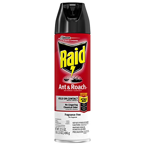 Ant & Roach Killer Fragrance Free