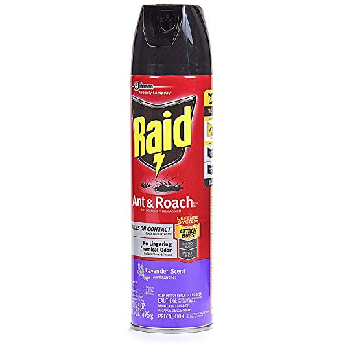 Ant & Roach Killer Lavender Scent Pack of 6