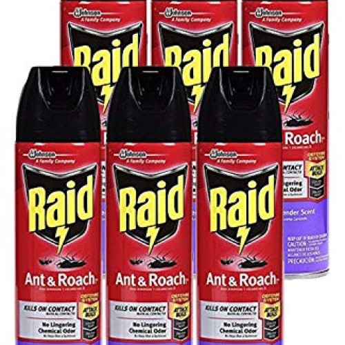 Ant & Roach Killer Lavender Scent Pack of 6