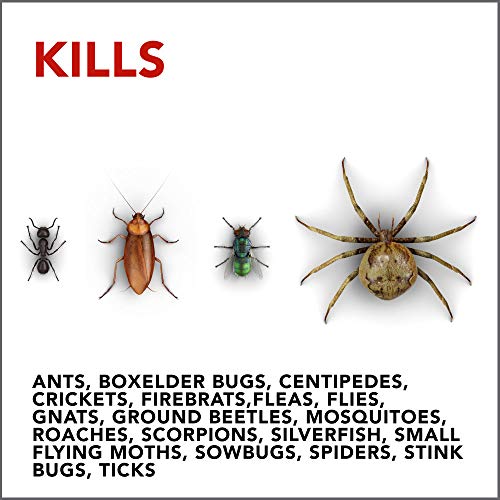 Raid Ant & Roach Barrier Spray, Killer for Listed Bugs, Insect, Sp...