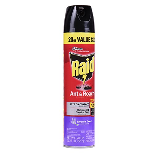 Raid Ant & Roach Killer 26, Lavender Scent, 20 oz