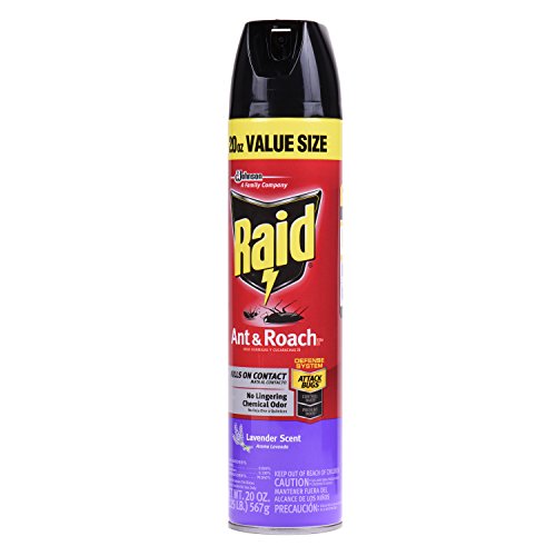 Raid Ant & Roach Killer 26, Lavender Scent, 20 oz