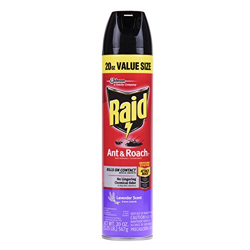 Raid Ant & Roach Killer 26, Lavender Scent, 20 oz