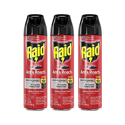 Raid Ant & Roach Killer Defense System, Outdoor Fresh Scent, 17.5 ...