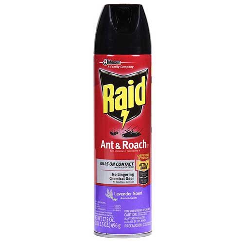Raid Ant & Roach Killer Lavender, 17.5 OZ