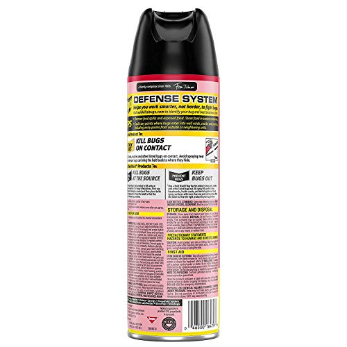 Raid Ant & Roach Killer Lemon Scent, 17.5 OZ