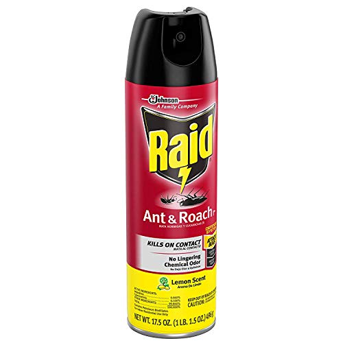 Raid Ant & Roach Killer Lemon Scent, 17.5 OZ
