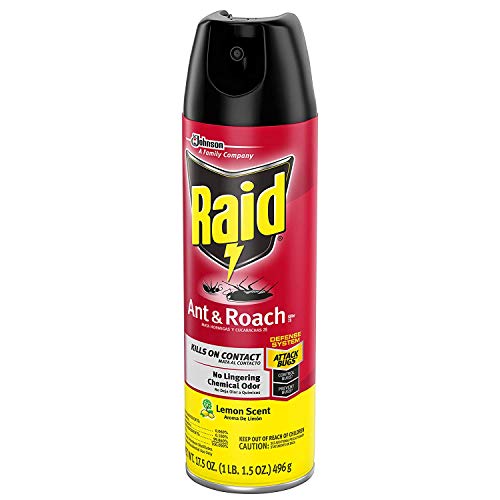 Raid Ant & Roach Killer Lemon Scent, 17.5 OZ