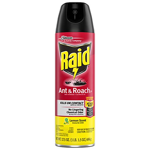 Raid Ant & Roach Killer Lemon Scent, 17.5 OZ Pack - 12