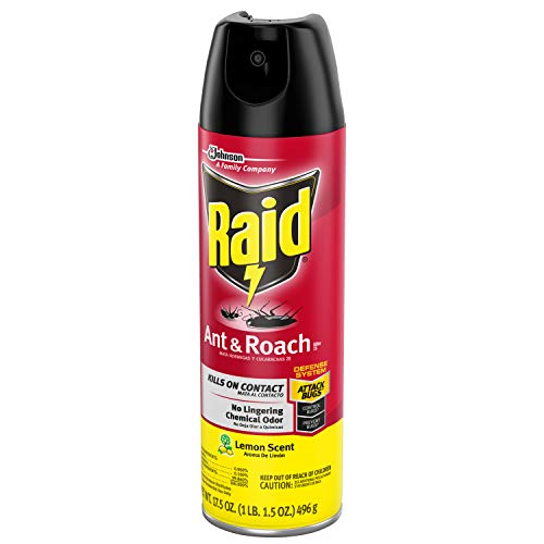Raid Ant & Roach Killer Lemon Scent, 17.5 OZ Pack - 12