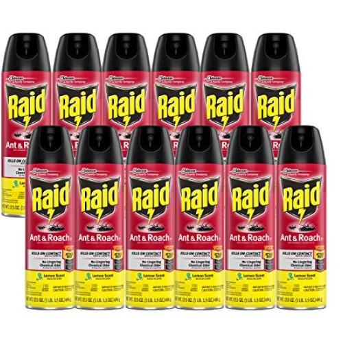 Raid Ant & Roach Killer Lemon Scent, 17.5 OZ Pack - 12