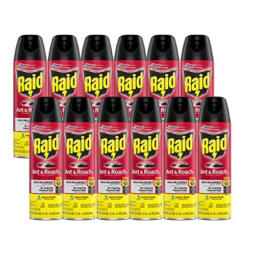 Raid Ant & Roach Killer Lemon Scent, 17.5 OZ Pack - 12