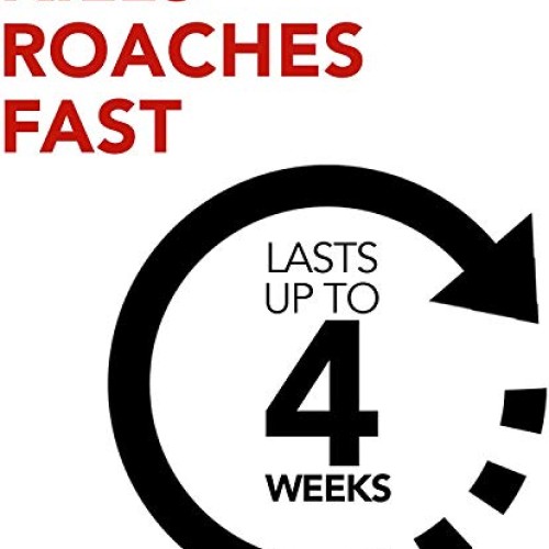 Raid Ant and Roach Killer, Lemon Scent, 17.5 OZ Pack - 3