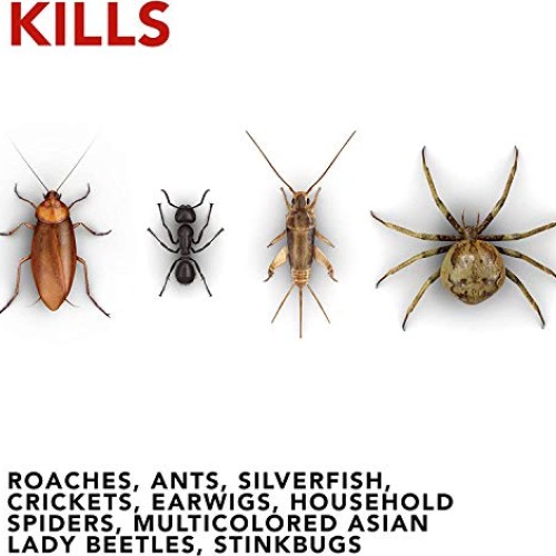 Raid Ant and Roach Killer, Lemon Scent, 17.5 OZ Pack - 3