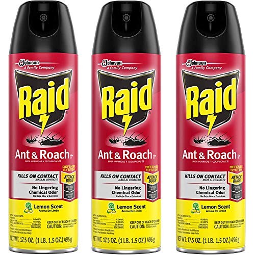 Raid Ant & Roach Killer Lemon Scent, 17.5 OZ Pack - 3