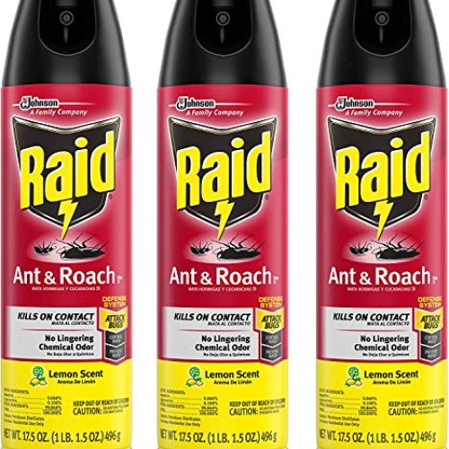 Raid Ant & Roach Killer Lemon Scent, 17.5 OZ Pack - 3