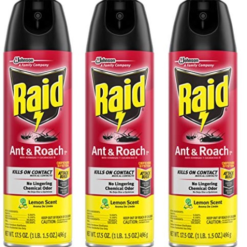 Raid Ant and Roach Killer, Lemon Scent, 17.5 OZ Pack - 3