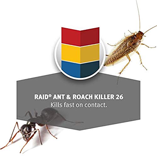 Raid Ant & Roach Killer Outdoor Fresh Scent, 17.5 OZ Pack of 6