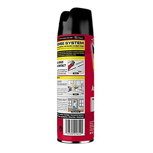 Raid Ant & Roach Killer Outdoor Fresh Scent, 17.5 OZ Pack of 6