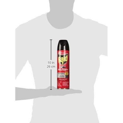 Raid Ant & Roach Killer Outdoor Fresh Scent, 17.5 OZ Pack of 6