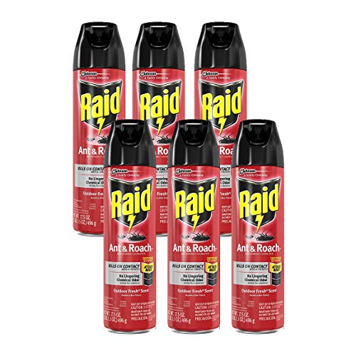 Raid Ant & Roach Killer Outdoor Fresh Scent, 17.5 OZ Pack of 6