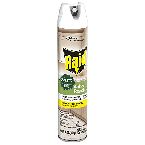Raid Ant & Roach Killer Spray for Listed Bugs, Insect, Spider, For...