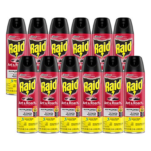 Raid Ant & Roach Killer Spray for Listed Bugs, Insect, Spider, For...