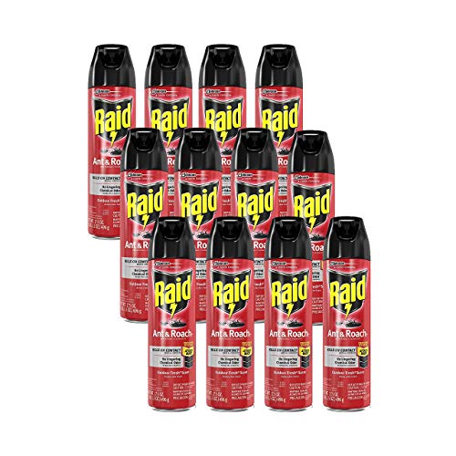Raid Ant & Roach Killer Spray for Listed Bugs, Insect, Spider, For...