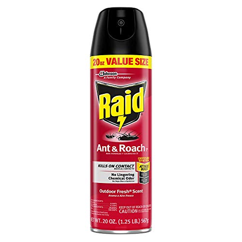 Raid Ant & Roach Killer Spray for Listed Bugs, Insect, Spider, For...