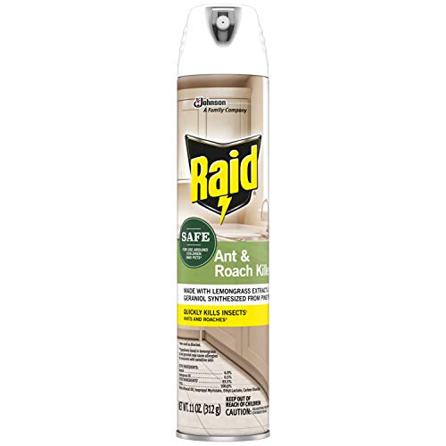 Raid Ant & Roach Killer Spray for Listed Bugs, Insect, Spider, For...