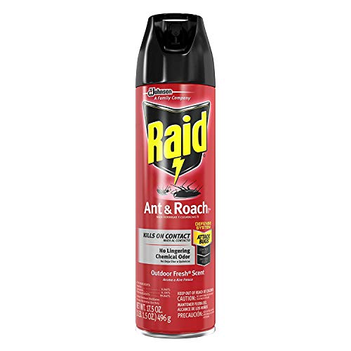 Raid Ant & Roach Killer with Outdoor Fresh Scent, 12-Ounce Cans P...