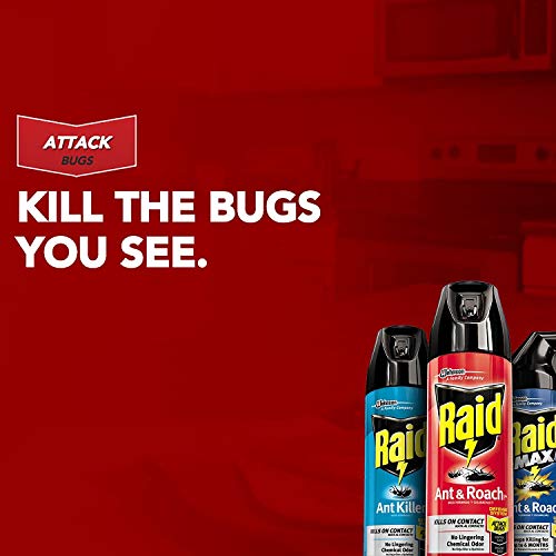 Raid Ant & Roach Killer with Outdoor Fresh Scent, 12-Ounce Cans P...