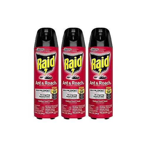 Raid Ant & Roach Killer with Outdoor Fresh Scent, 12-Ounce Cans P...