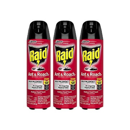 Raid Ant & Roach Killer with Outdoor Fresh Scent, 12-Ounce Cans P...