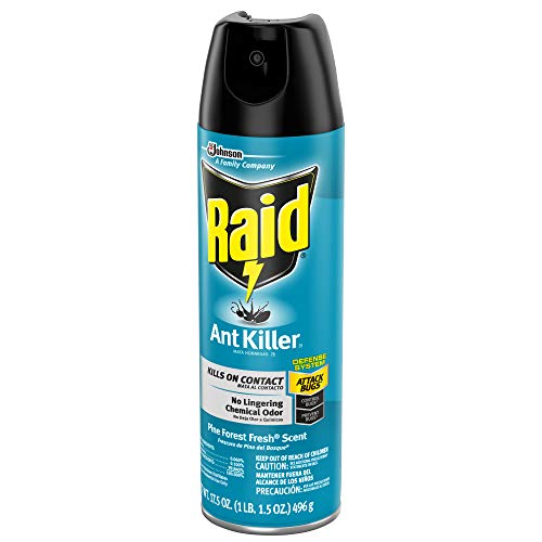 Raid Ant Killer, Kills for up to four weeks, Pine Forest Fresh sce...