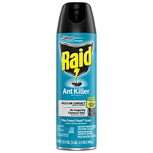 Raid Ant Killer, Kills for up to four weeks, Pine Forest Fresh sce...