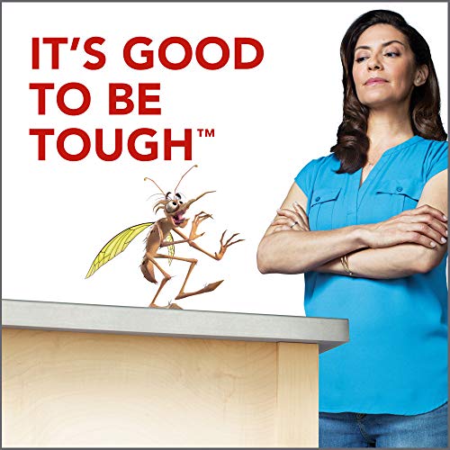 Raid Flying Insect Killer, 15 OZ Pack - 1