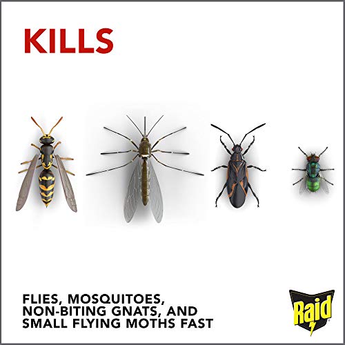 Raid Flying Insect Killer, 15 OZ Pack - 1