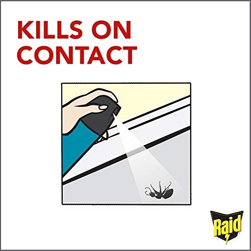 Raid Flying Insect Killer, 15 OZ Pack - 1