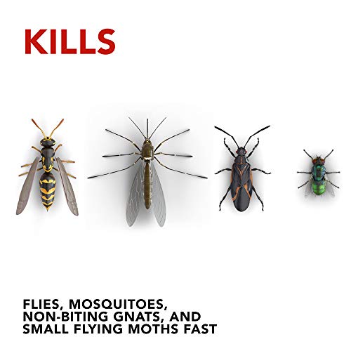 Raid Flying Insect Killer Lawn and Garden, 20 OZ Pack - 2