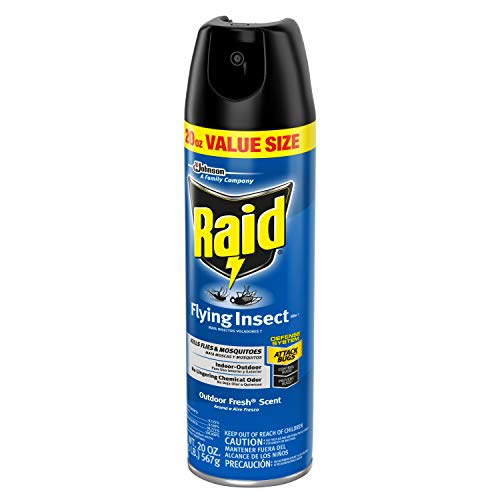 Raid Flying Insect Killer Lawn and Garden, 20 OZ Pack - 2