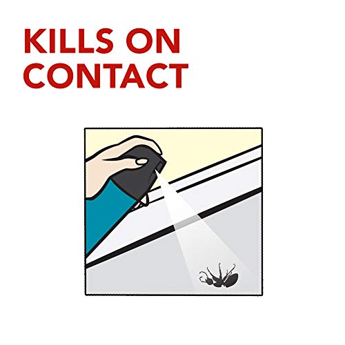 Raid Flying Insect Killer Lawn and Garden, 20 OZ Pack - 2