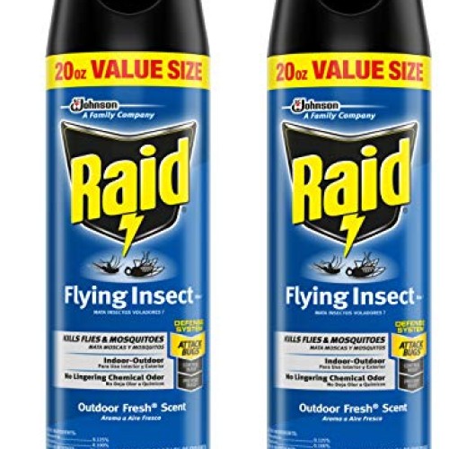 Raid Flying Insect Killer Lawn and Garden, 20 OZ Pack - 2