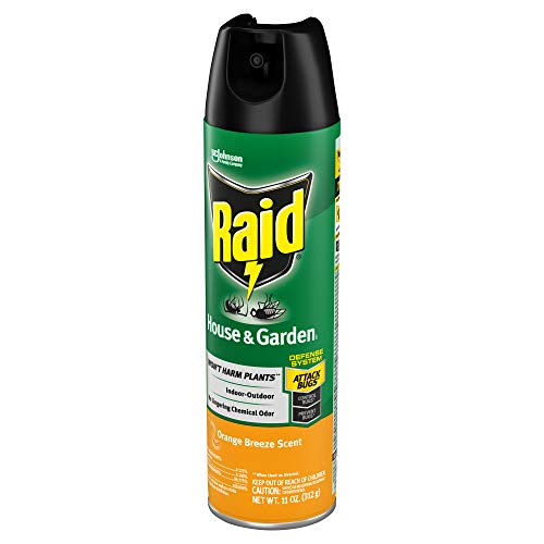 Raid House & Garden Insect Killer Spray, For Listed Ant, Roach, Sp...